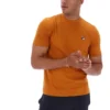 Pumpkin Spice Sunny Essential T-Shirt